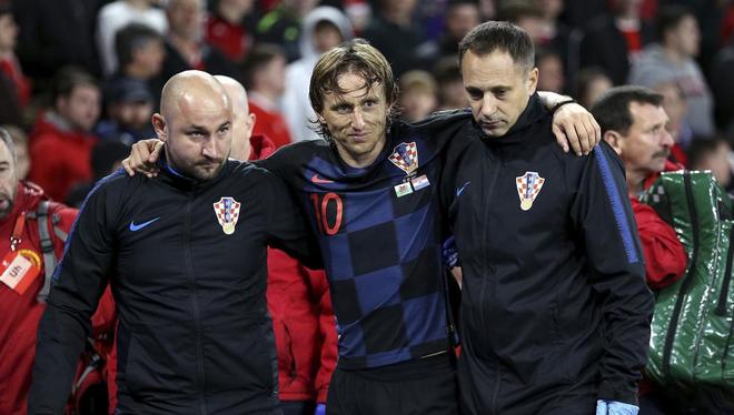 切蒂诺而言 切蒂诺而言